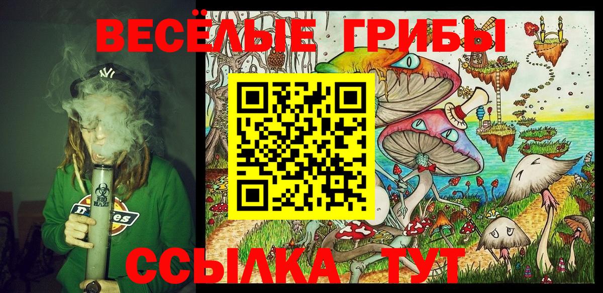 Галлюциногенные грибы MAGIC MUSHROOMS  Вход с VPN  Михайловка 